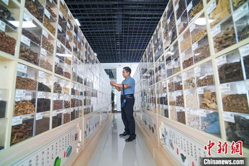 長治多舉措引智引技激活高質量發展 一池春水